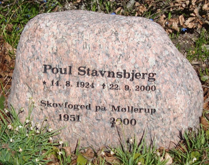 Poul Stavnsbjerg.JPG
